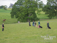 Gun Dog Training @ Gwrych Bedw Gun Dogs
GunDogTraining.biz
Click image to enlarge
