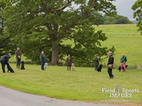 Gun Dog Training @ Gwrych Bedw Gun Dogs
GunDogTraining.biz
Click image to enlarge