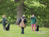 Gun Dog Training @ Gwrych Bedw Gun Dogs
GunDogTraining.biz
Click image to enlarge