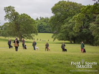 Gun Dog Training @ Gwrych Bedw Gun Dogs
GunDogTraining.biz
Click image to enlarge