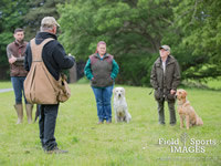 Gun Dog Training @ Gwrych Bedw Gun Dogs
GunDogTraining.biz
Click image to enlarge